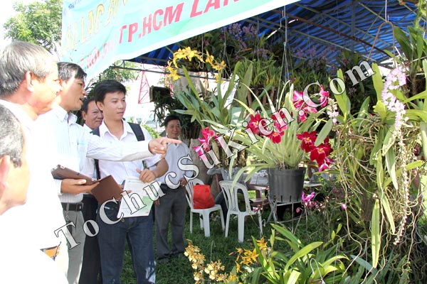 Cung cấp thiết bị tổ chức sự kiện Lễ hội sinh vật cảnh lần thứ 5 - 2013 - 15