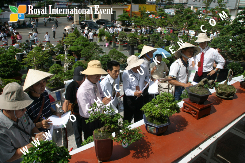 Tổ chức sự kiện triển lãm cây cảnh nghệ thuật và bonsai Việt Nam và Quốc tế