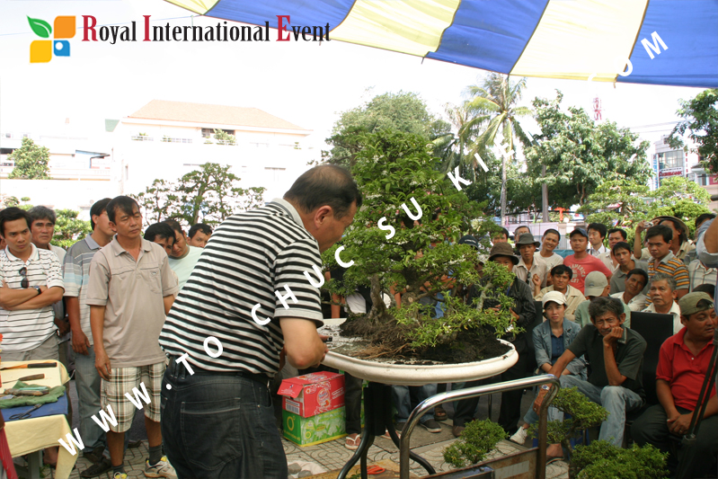Tổ chức sự kiện triển lãm cây cảnh nghệ thuật và bonsai Việt Nam và Quốc tế