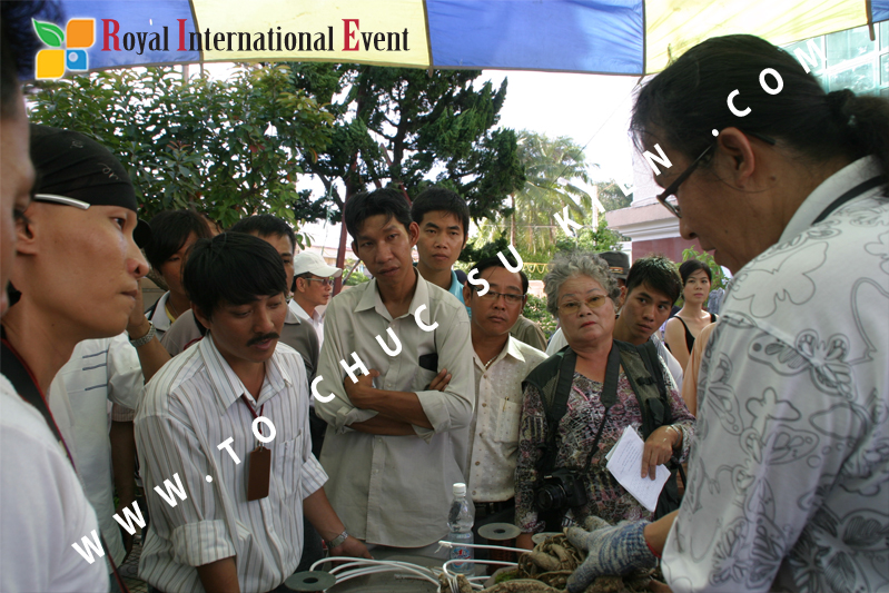 Tổ chức sự kiện triển lãm cây cảnh nghệ thuật và bonsai Việt Nam và Quốc tế
